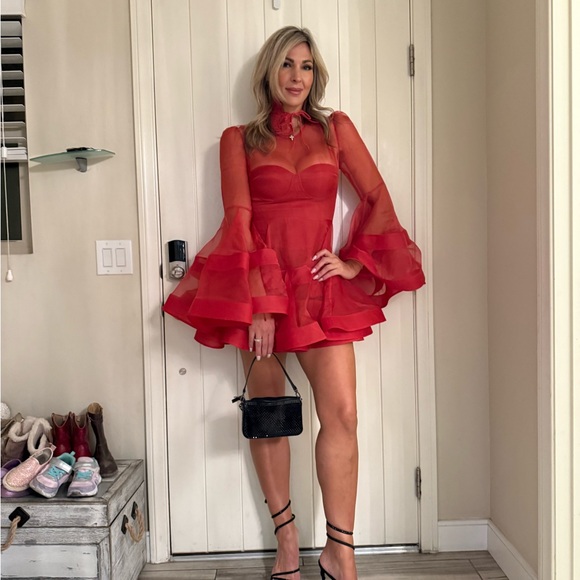 Zimmermann Red Sheer Long Sleeve Dress - Picture 2 of 6